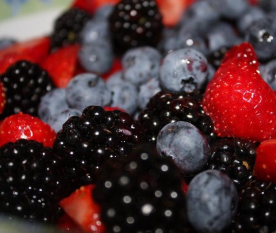 Начинка плодово-ягодная нетермо Лесная ягода 1.1.3.1 20 кг Ратибор