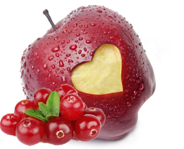 Конфитюр высокой термостабильности с 40% содержанием фруктов брусника с яблоком 13 кг