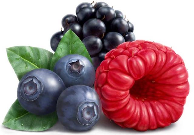 Конфитюр деликатесный Лесные ягоды 12,5 кг СоюзПищеПром